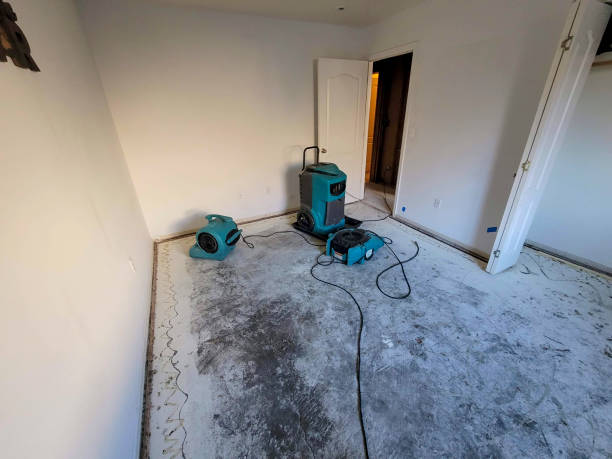 Reliable North St Paul, MN Water damage restoration Solutions