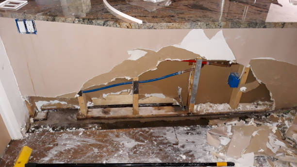 Best Local water damage restoration  in North St Paul, MN