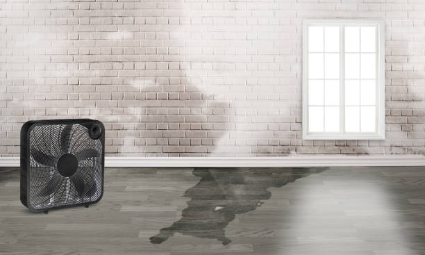 Best 24-hour water damage restoration  in North St Paul, MN