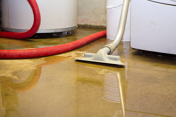 Best Ceiling water damage repair  in North St Paul, MN