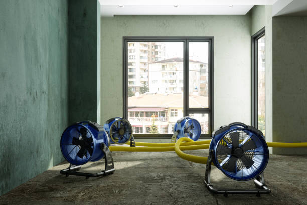 Best Water damage restoration near me  in North St Paul, MN